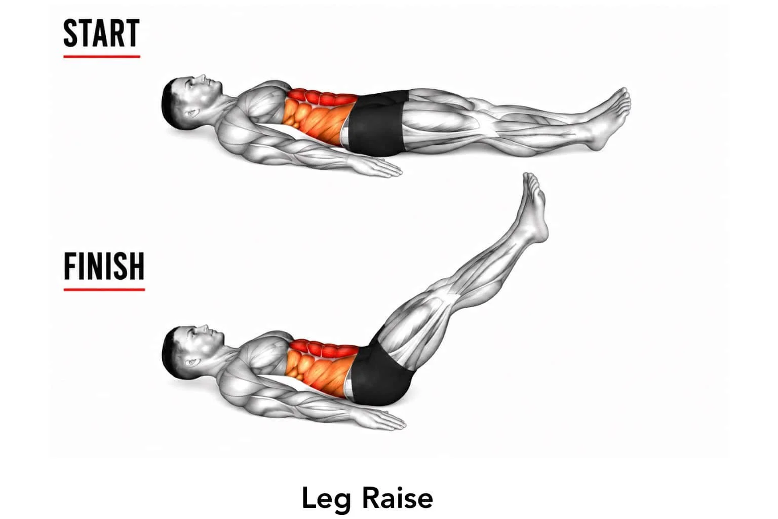 Diagram showing the starting position and ending position of a leg raise exercise. In the start position, the person lies flat on their back with legs extended and arms at sides. In the finish position, the person lifts their legs upward with knees slightly bent, engaging abdominal muscles.