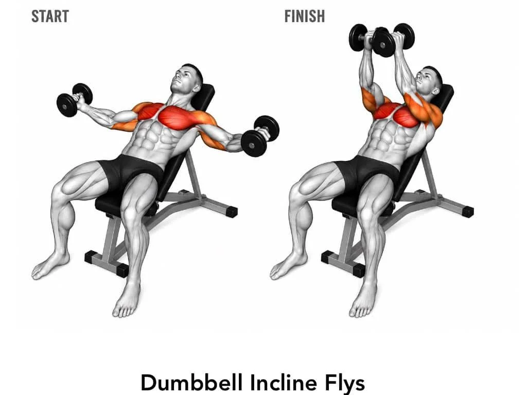 Illustration of a man performing dumbbell incline flys on a bench, showing start and finish positions, highlighting chest muscle engagement.