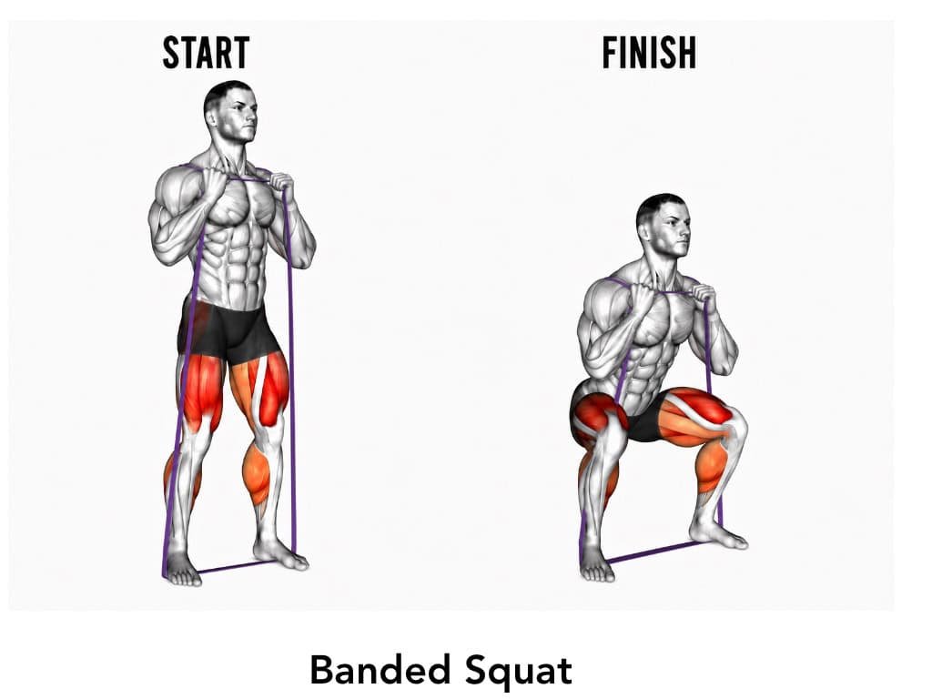 Diagram of a man performing a banded squat exercise, showing the start position on the left with standing posture and the finish position on the right with a squatting posture, highlighting muscle groups in legs and glutes.