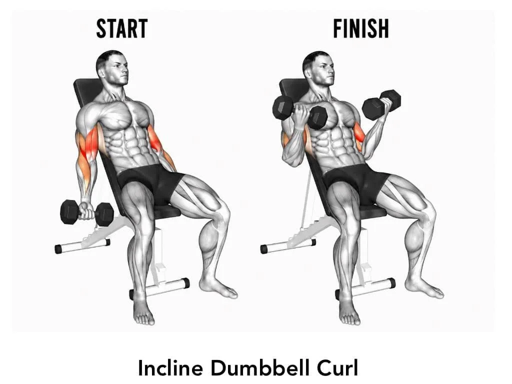 Illustration of a man performing an incline dumbbell curl exercise, showing the start and finish positions. The man is seated on an incline bench, holding dumbbells, targeting the biceps.