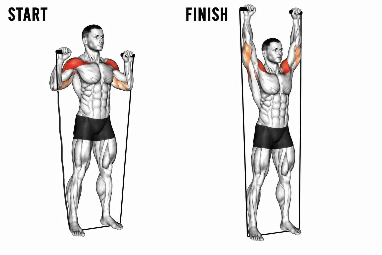Diagram of a man performing a banded shoulder press, starting with arms bent and ending with arms raised overhead, highlighting shoulder and arm muscles.