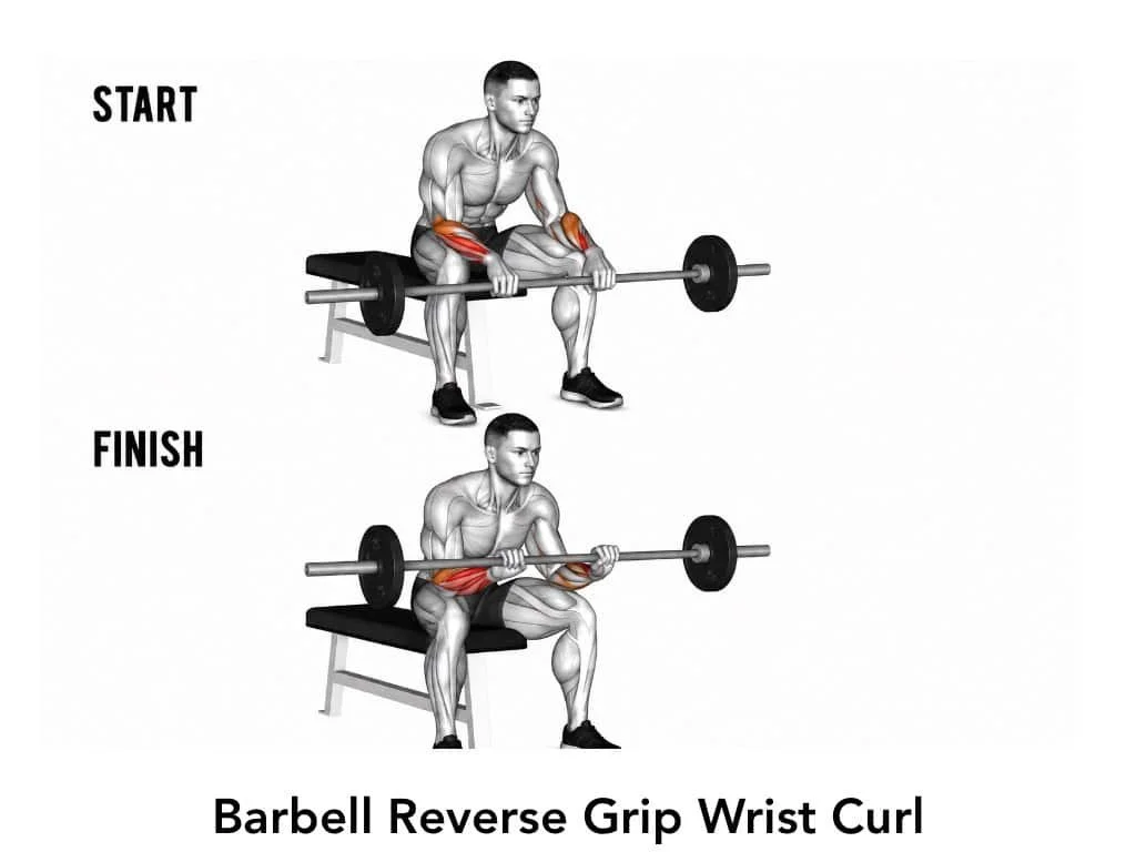 Diagram showing a person performing a barbell reverse grip wrist curl exercise, with a start position and a finish position, highlighting arm muscles involved.