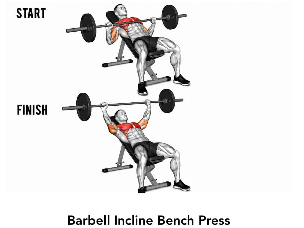 Illustration of a man performing a barbell incline bench press, showing the start and finish positions, with muscles highlighted in red.