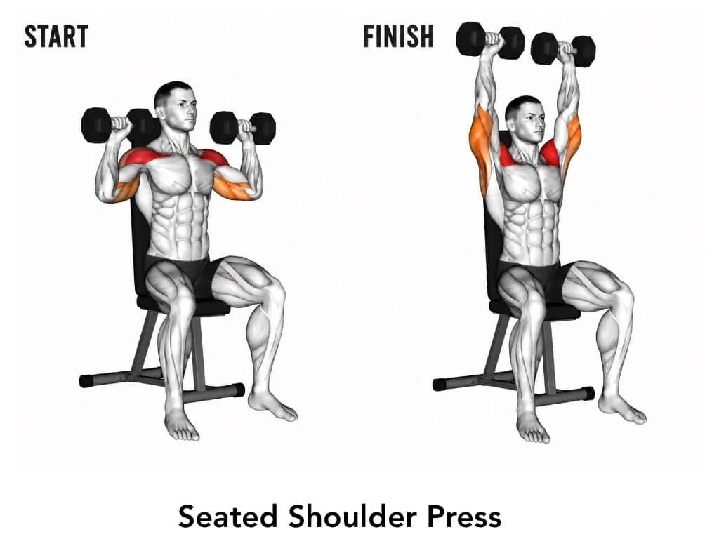 Illustration of a man performing a seated shoulder press with dumbbells, showing the starting position on the left and the finishing position on the right, highlighting the shoulder muscles worked.