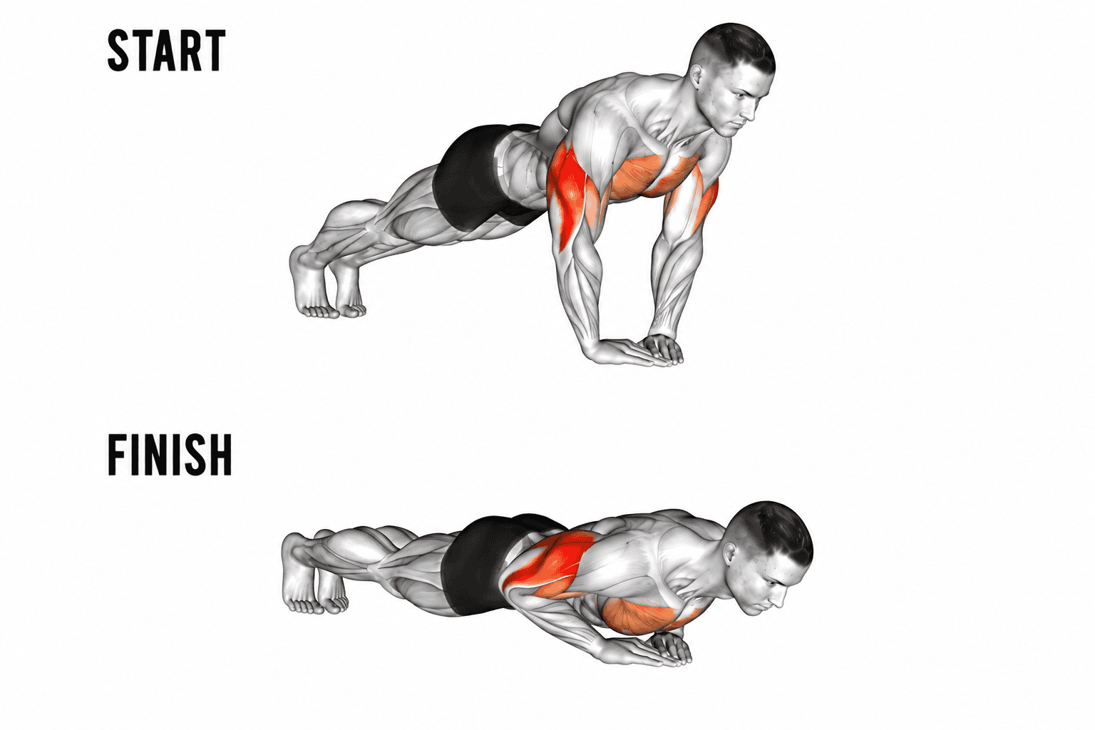 Diagram showing a man performing a  diamond push-up, starting in a high plank position and ending in a lowered position with elbows bent, highlighting the chest, shoulders, and triceps muscles.