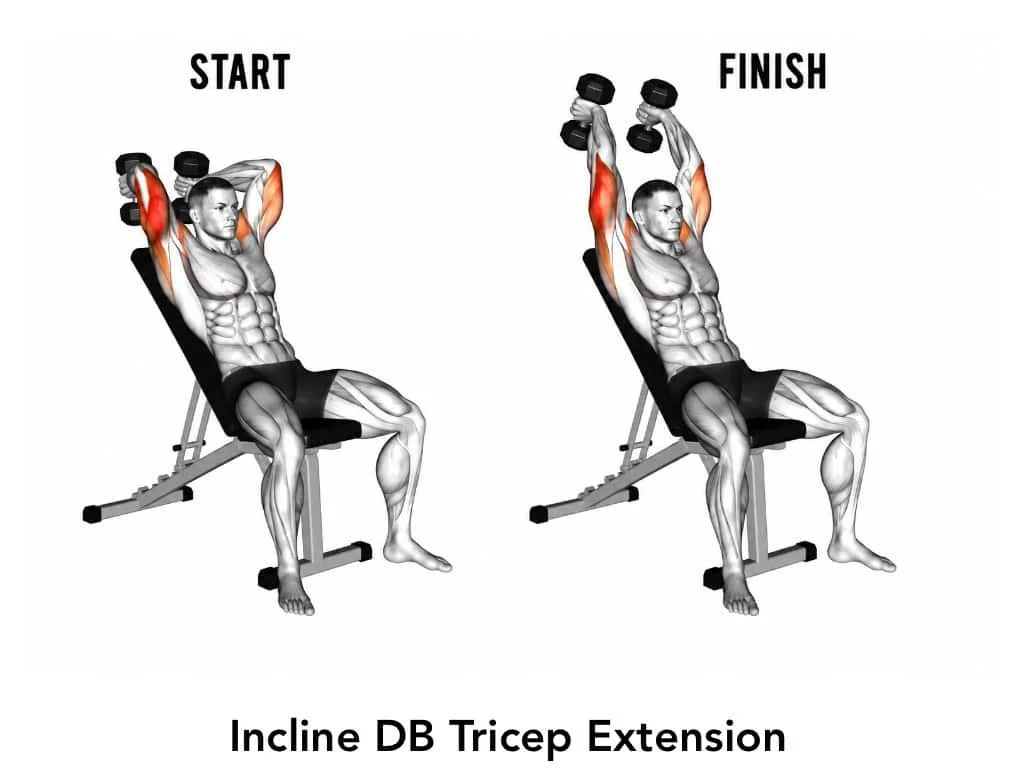 Illustration of a man performing incline dumbbell tricep extensions, showing starting and finishing positions, highlighting arm muscles.