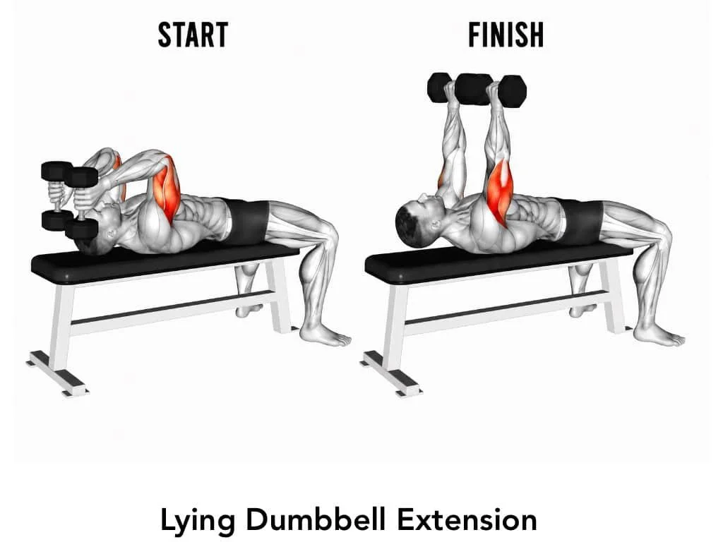 Illustration of a man performing a lying dumbbell extension exercise, showing start and finish positions, targeting the triceps.