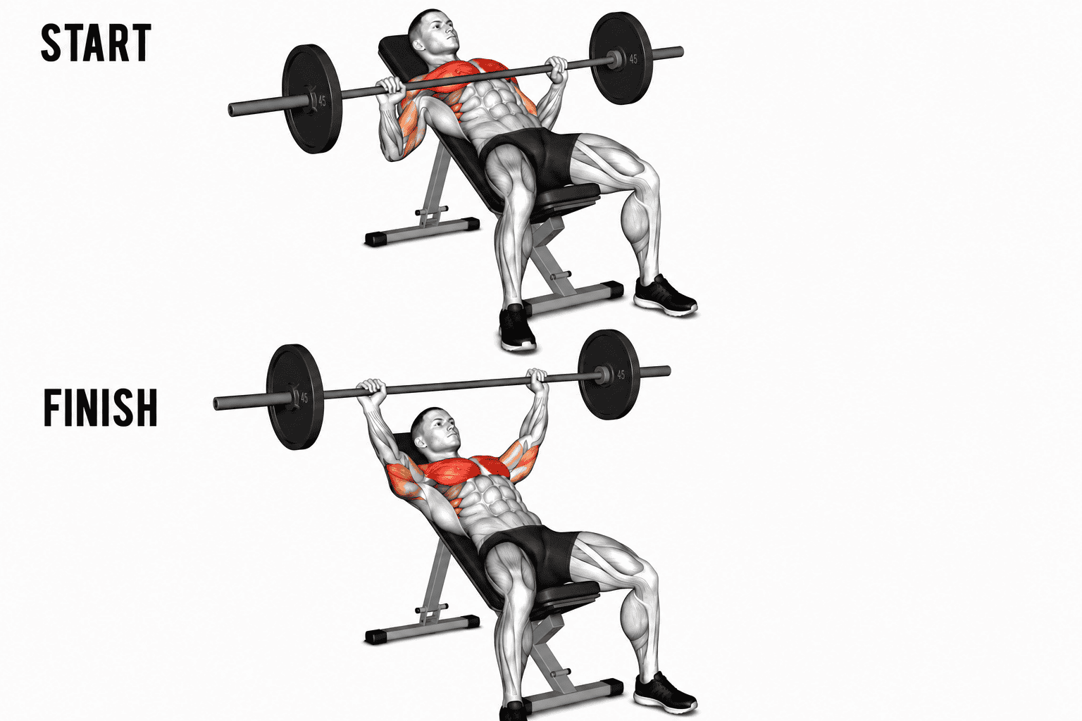 A man performing a bench press exercise in two stages, starting with the barbell lowered behind his chest and finishing with the barbell extended overhead, highlighting the chest, shoulder, and arm muscles.