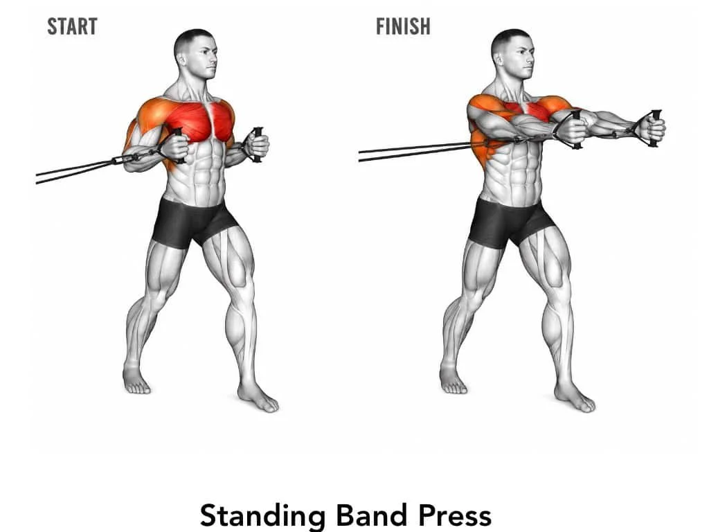 Illustration of a man performing a standing band press exercise with colored muscles highlighting shoulder and chest muscles, showing start and finish positions.