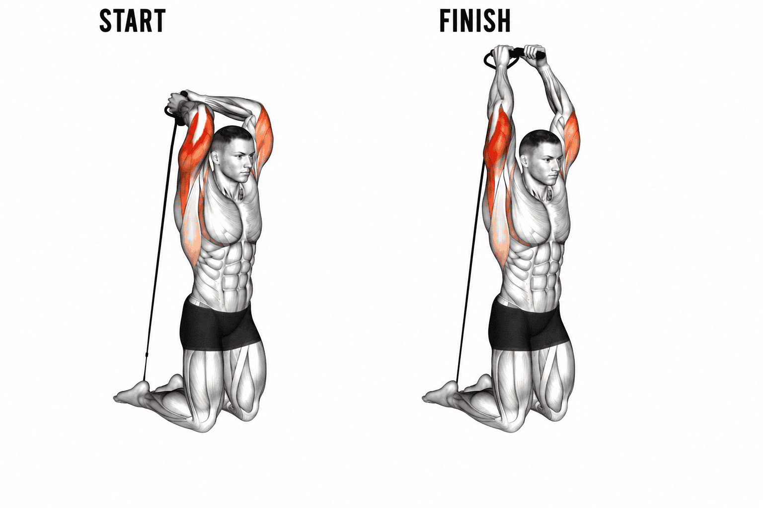 Diagram of a person kneeling doing tricep extension with resistance band, illustrating the start and finish positions of an overhead tricep extension exercise, with muscles highlighted in red.