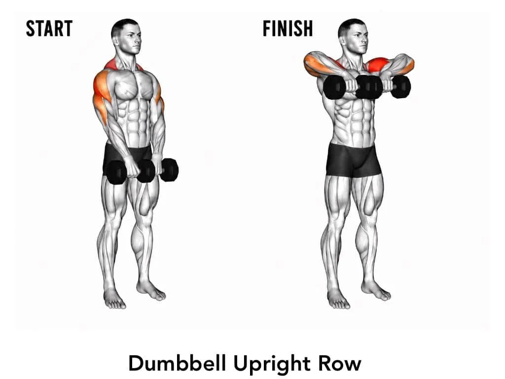 Illustration of a man performing a dumbbell upright row exercise, showing start and finish positions with muscle engagement in shoulders and arms.