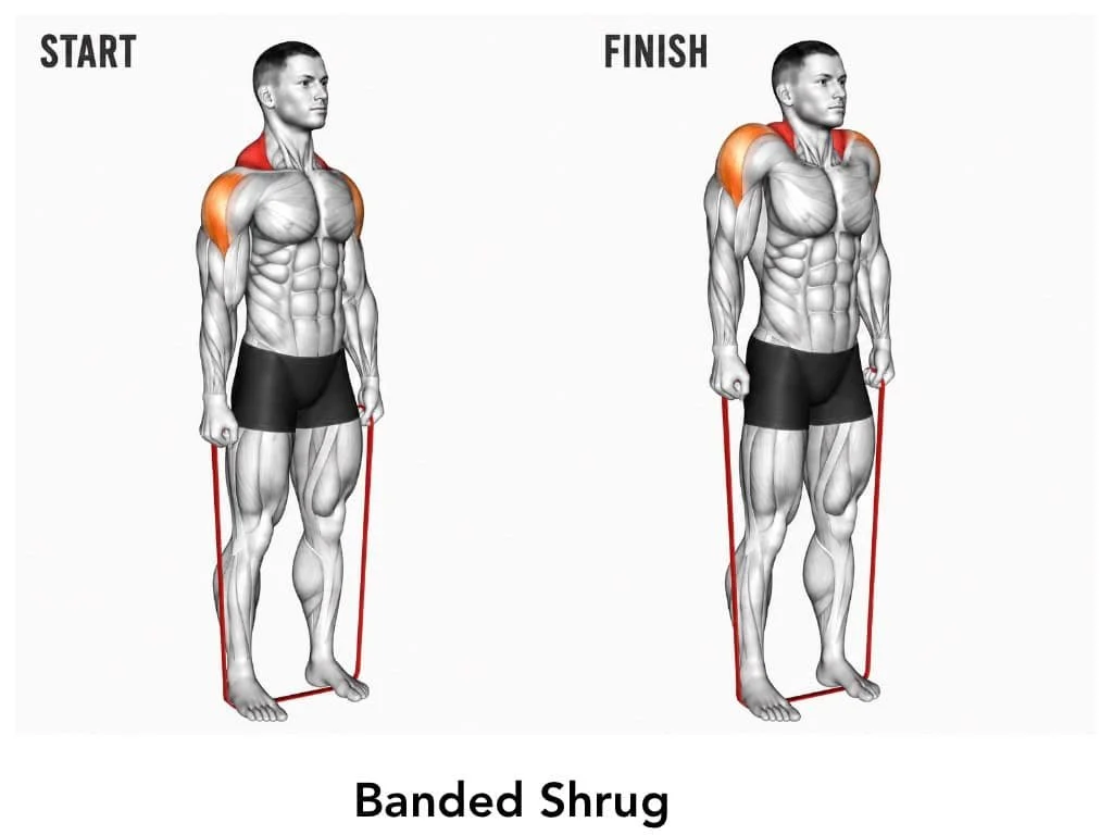 Illustration of a man performing a banded shrug exercise, showing start and finish positions. The man is holding a resistance band, with shoulder muscles highlighted in orange.
