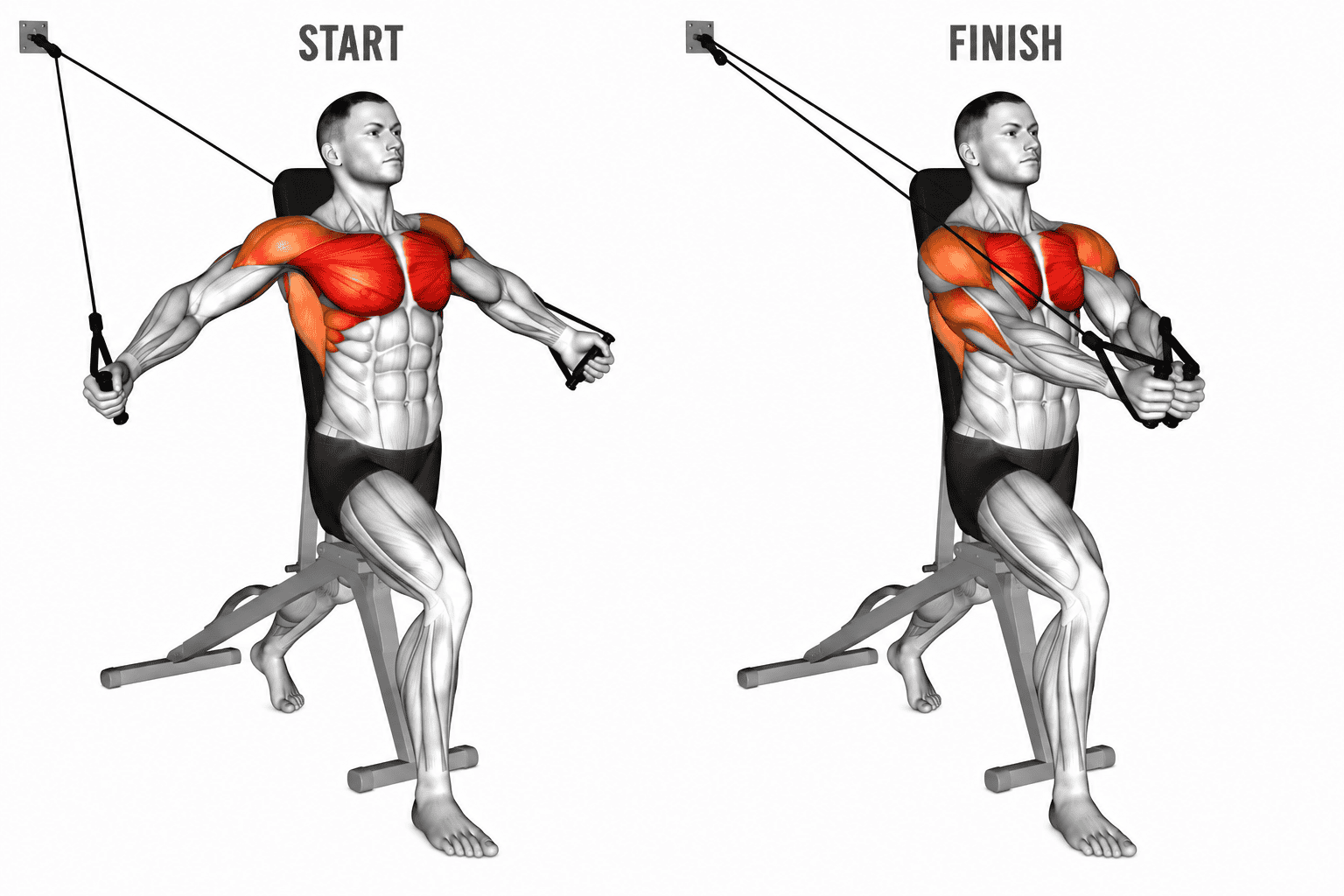 An illustration showing a person performing a seated cable crossover exercise, starting with arms outstretched holding the cables, and ending with hands crossing in front of the chest, targeting chest and arm muscles.