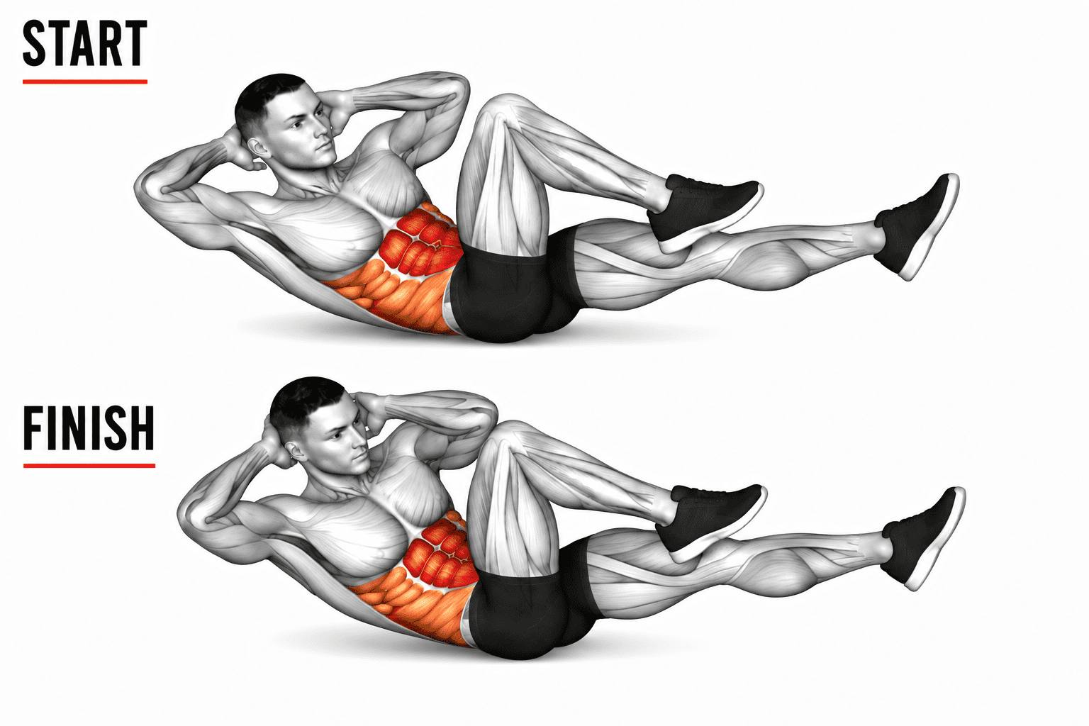 A man performing a bicycle crunch exercise with muscles and abdominal muscles highlighted in red and orange. The image shows the starting and finishing positions of the exercise.