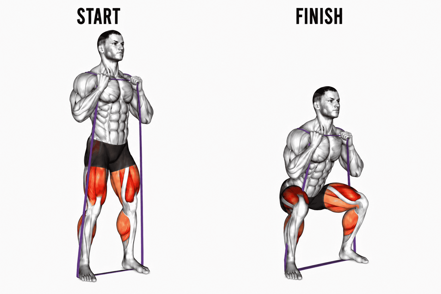 Diagram showing a person performing a banded squat exercise with labels 'Start' on the left and 'Finish' on the right. Muscles highlighted in red indicate targeted muscles.