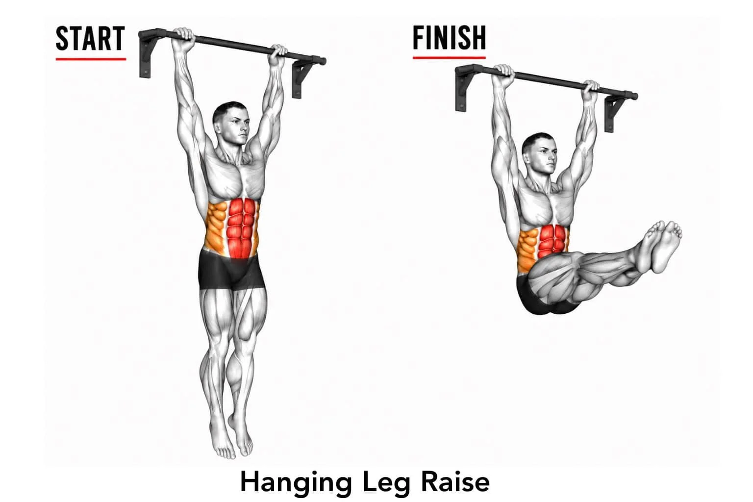 A diagram of a man performing a hanging leg raise exercise, starting from a hanging position and ending with legs raised and knees bent. The exercise targets the abdominal muscles.