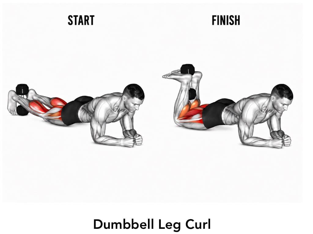 Illustration of a man performing a dumbbell leg curl exercise, showing the start and finish positions, targeting the hamstring muscles.