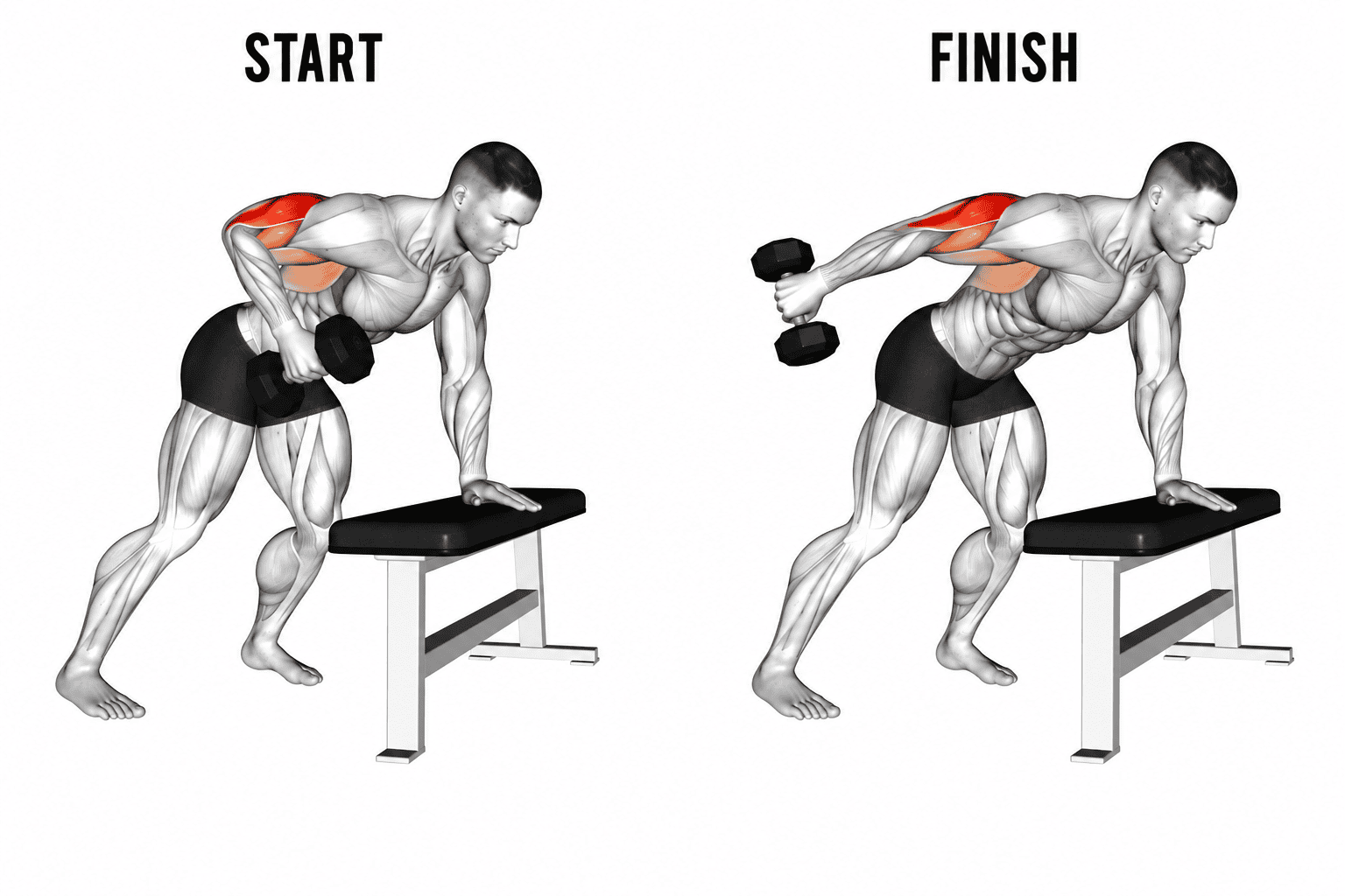 Side-by-side illustrations of a man performing single arm kickback, showing start and finish positions with muscles highlighted in red.