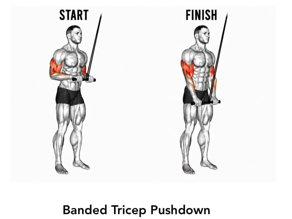 Diagram showing the start and finish positions for a banded tricep pushdown exercise, highlighting the arm muscles worked.