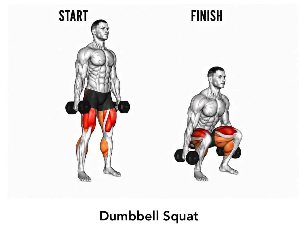 Diagram showing a man performing a dumbbell squat exercise, with highlighted muscles including quadriceps, hamstrings, and glutes, demonstrating the starting and finishing positions.