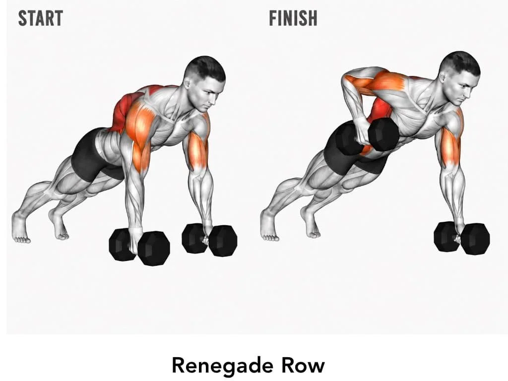 Diagram showing the starting and finishing positions of a renegade row exercise with a person holding dumbbells, highlighting the muscles worked in red.