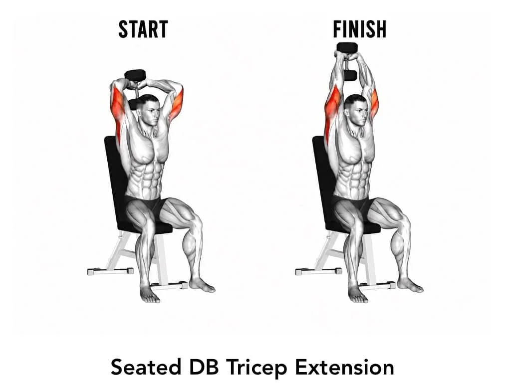 Illustration of a seated dumbbell tricep extension exercise showing starting and finishing positions, with the person raising a dumbbell overhead.