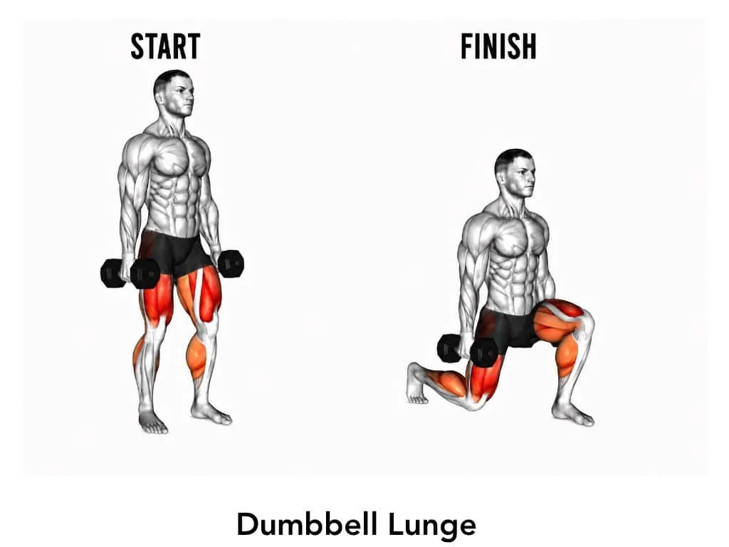 Diagram showing a man performing a dumbbell lunge from start standing position to finish kneeling position, highlighting the quadriceps and glutes muscles.