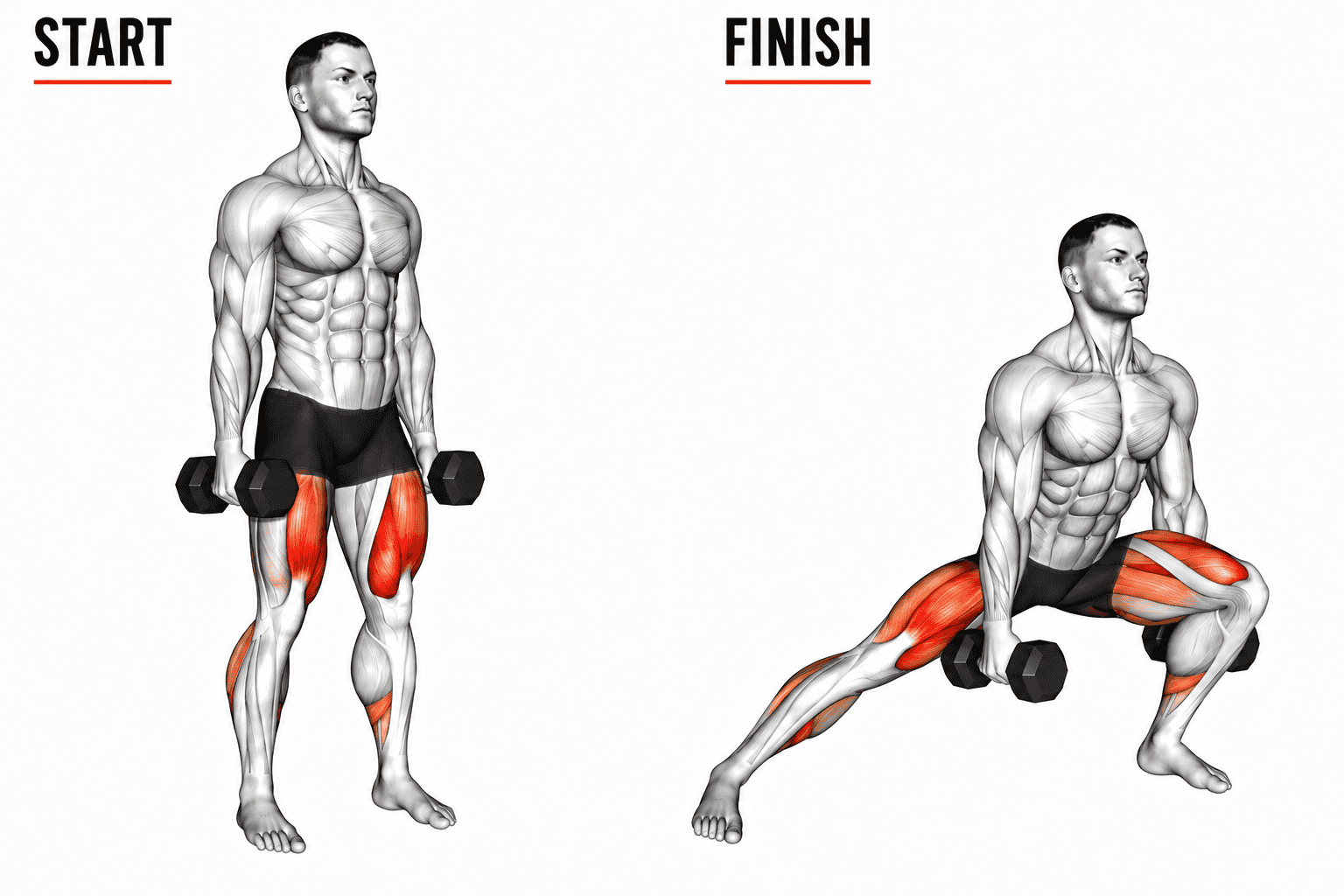 An illustrated exercise guide showing a person performing a lateral lunge, holding dumbbells at their sides, with muscles illustrated. The 'FINISH' side shows the same person in a lunge position, holding dumbbells, with muscles highlighted.