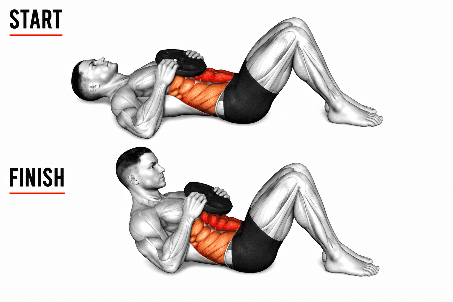 Diagram of a man doing a weighted crunch exercise, showing the start position with muscles engaged and the finish position with muscles contracted, highlighting the abdominal muscles.