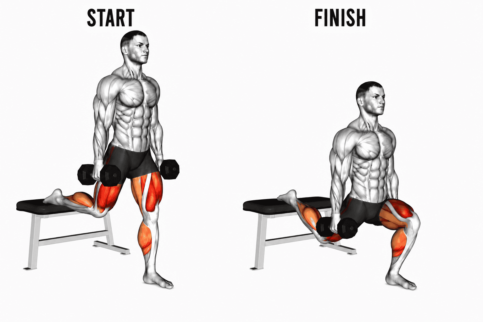 A muscular man demonstrating a Bulgarian split squat, shown in two positions: start on the left and finish on the right. The muscles worked are highlighted in red on the legs.