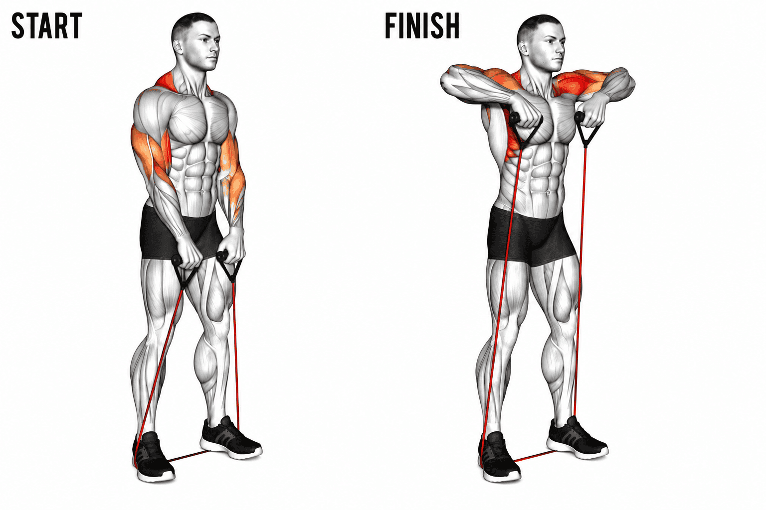 An exercise showing a man performing banded upright row . The left side labeled 'START' shows him standing with arms relaxed and resistance band under his feet.