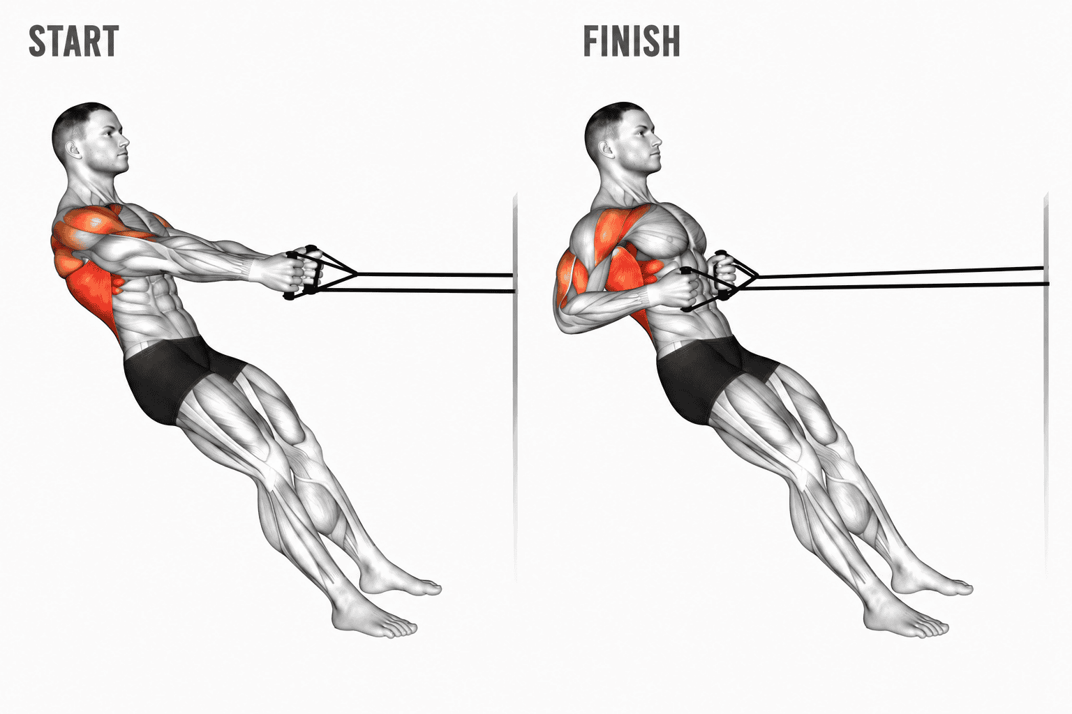 Diagram showing a man doing a banded standing row exercise, starting on the left with arms extended and back straight, then pulling the bands towards his torso with muscles engaged, ending on the right with arms bent and back muscles contracted.