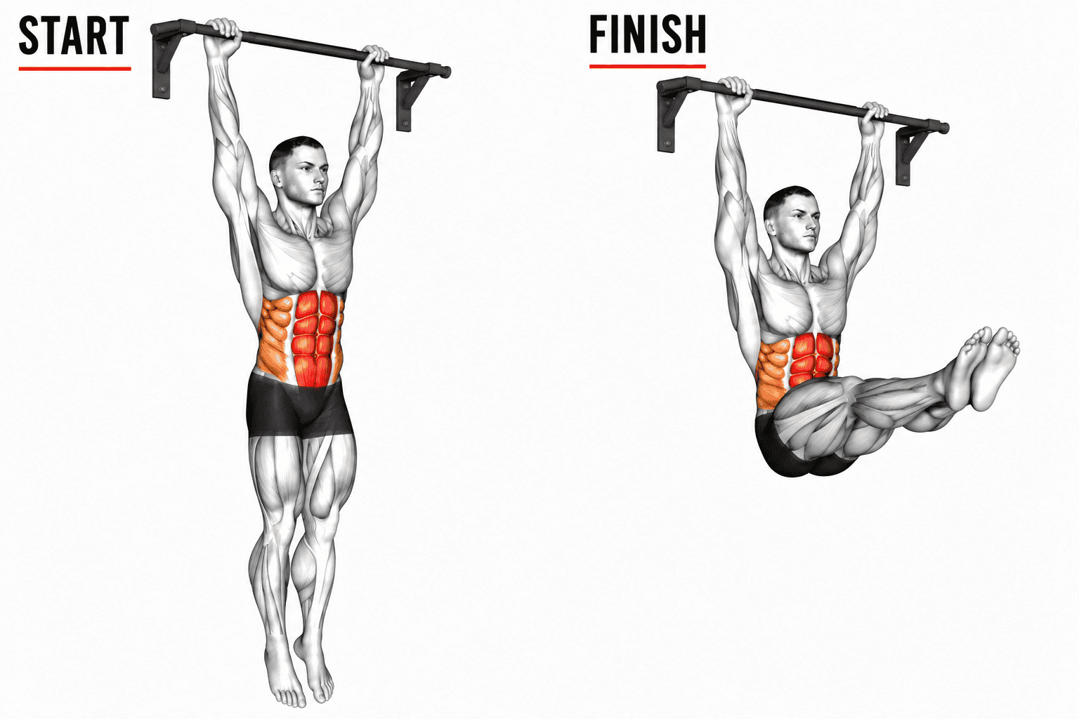 Diagram showing a man performing a hanging leg raise exercise on a pull-up bar, with the start position on the left and the finish position on the right, highlighting the abdominal muscles being engaged.