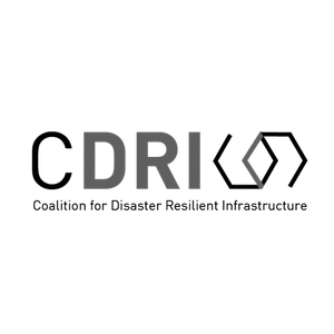 CDRI (1).webp