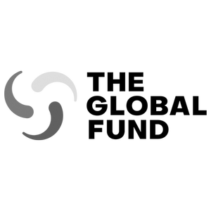 TheGlobalFund.webp