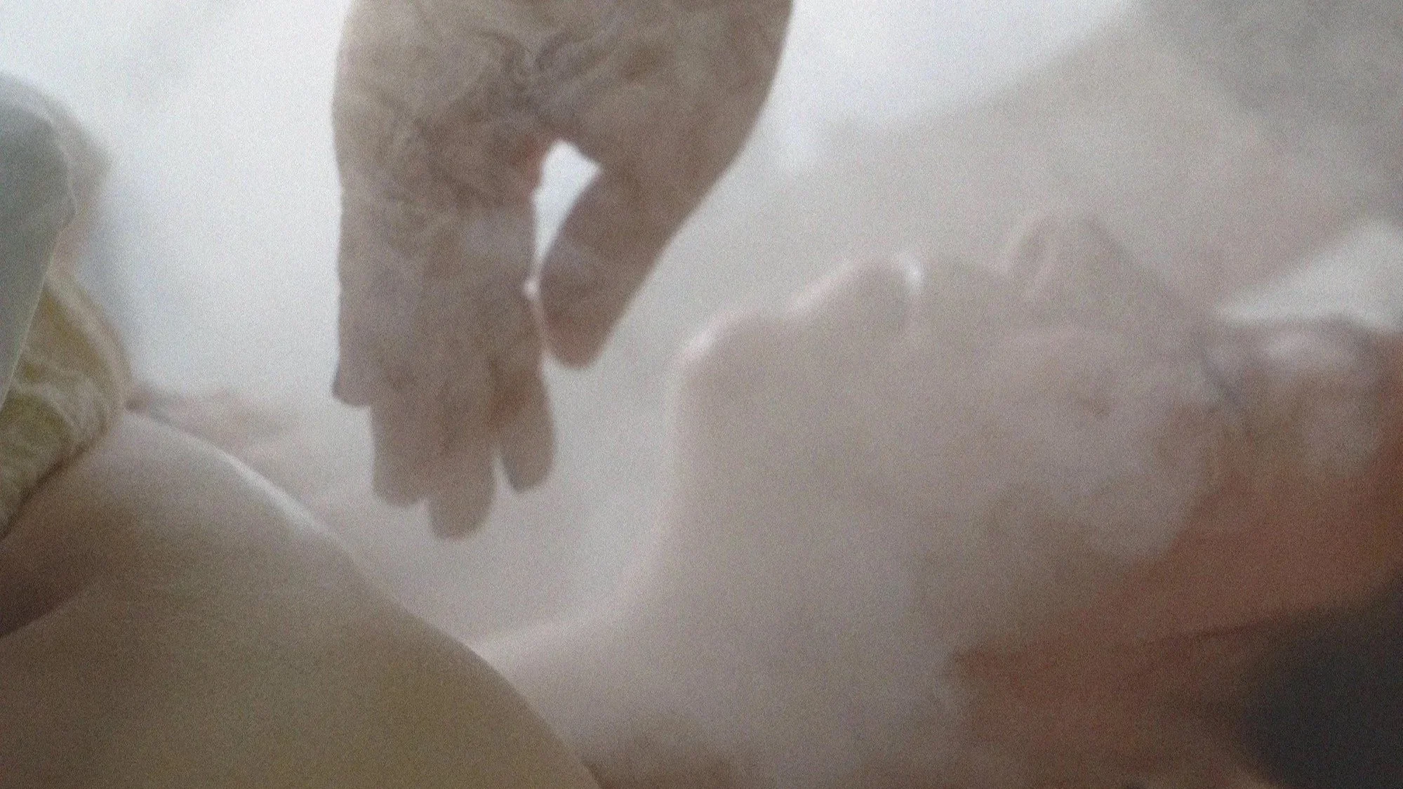 Close-up of a person's arm and hand reaching towards a leather sofa, with a person walking in the background in a blurred indoor setting.