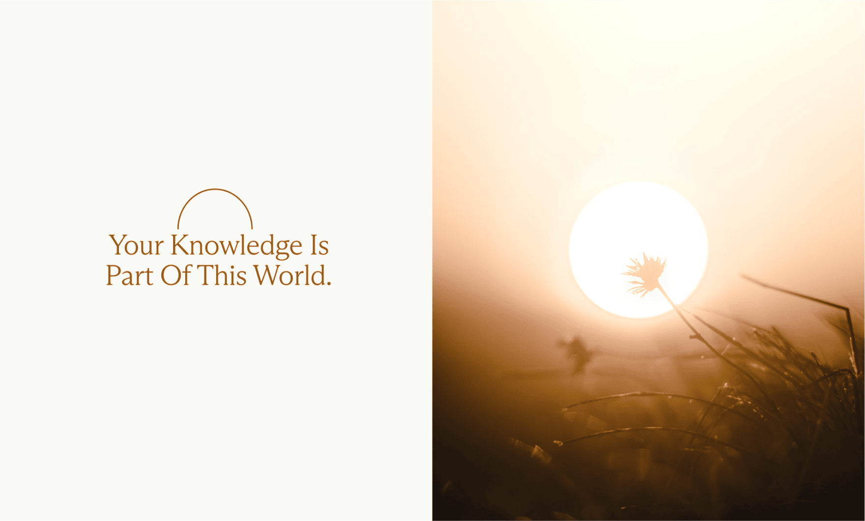 Brand identity design for Knowledge Mindfulness by Mindsy Design