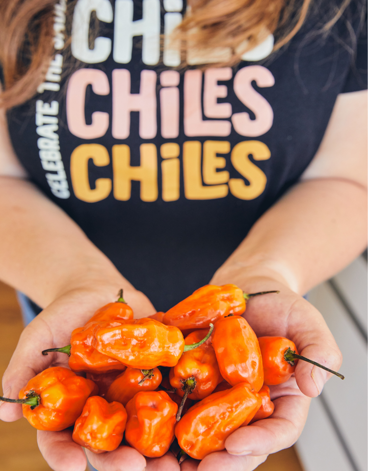 Brand identity design for Cien Chiles by Mindsy Design