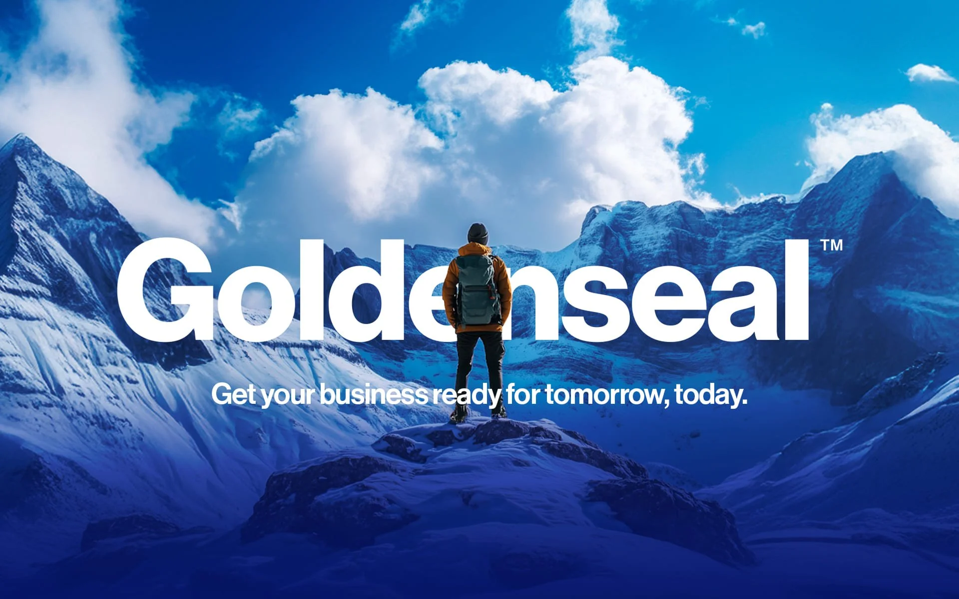 Brand identity design for GoldenSeal by Mindsy Design