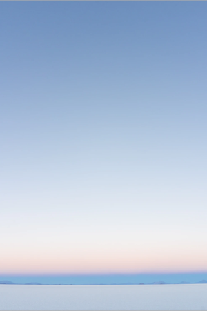 brand+colors.webp