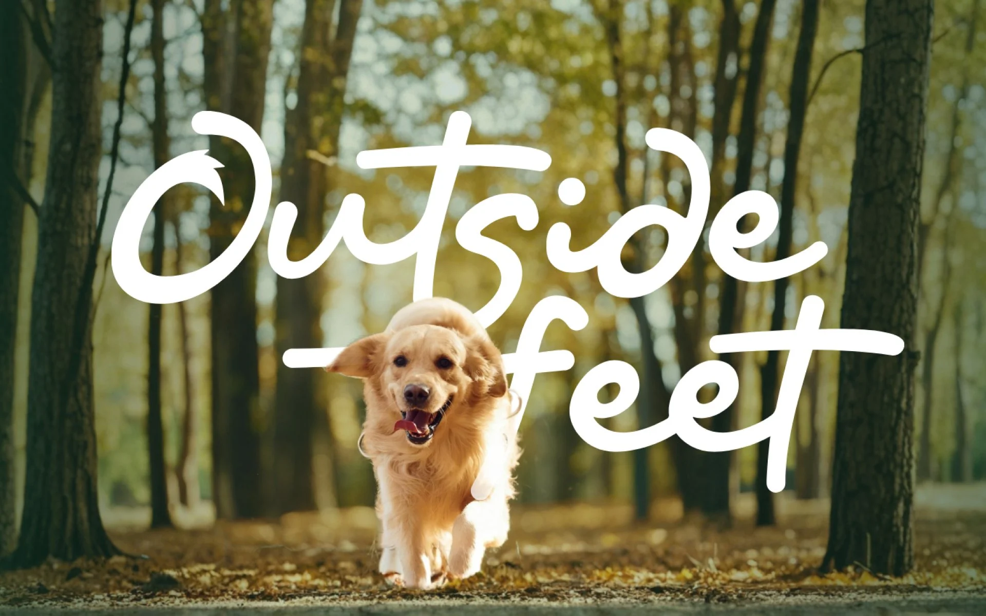 Brand identity design for Outside Feet by Mindsy Design