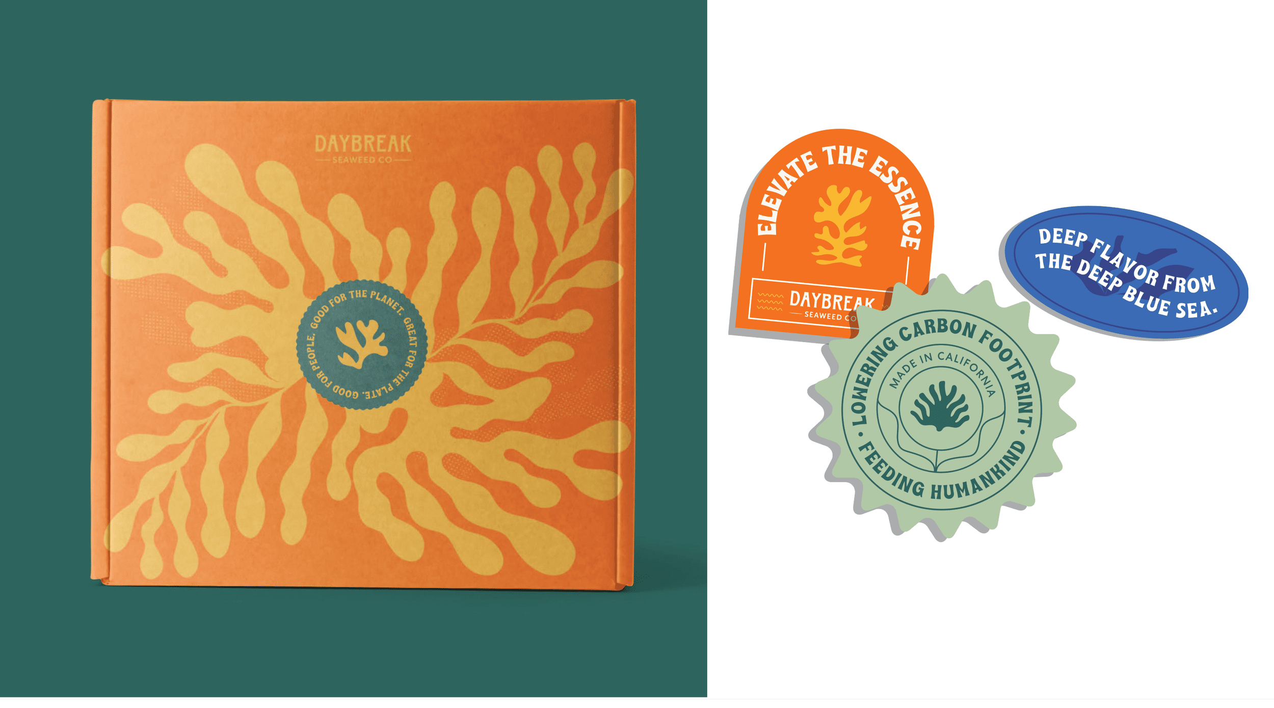Brand identity design for Daybreak Seaweed Co. by Mindsy Design