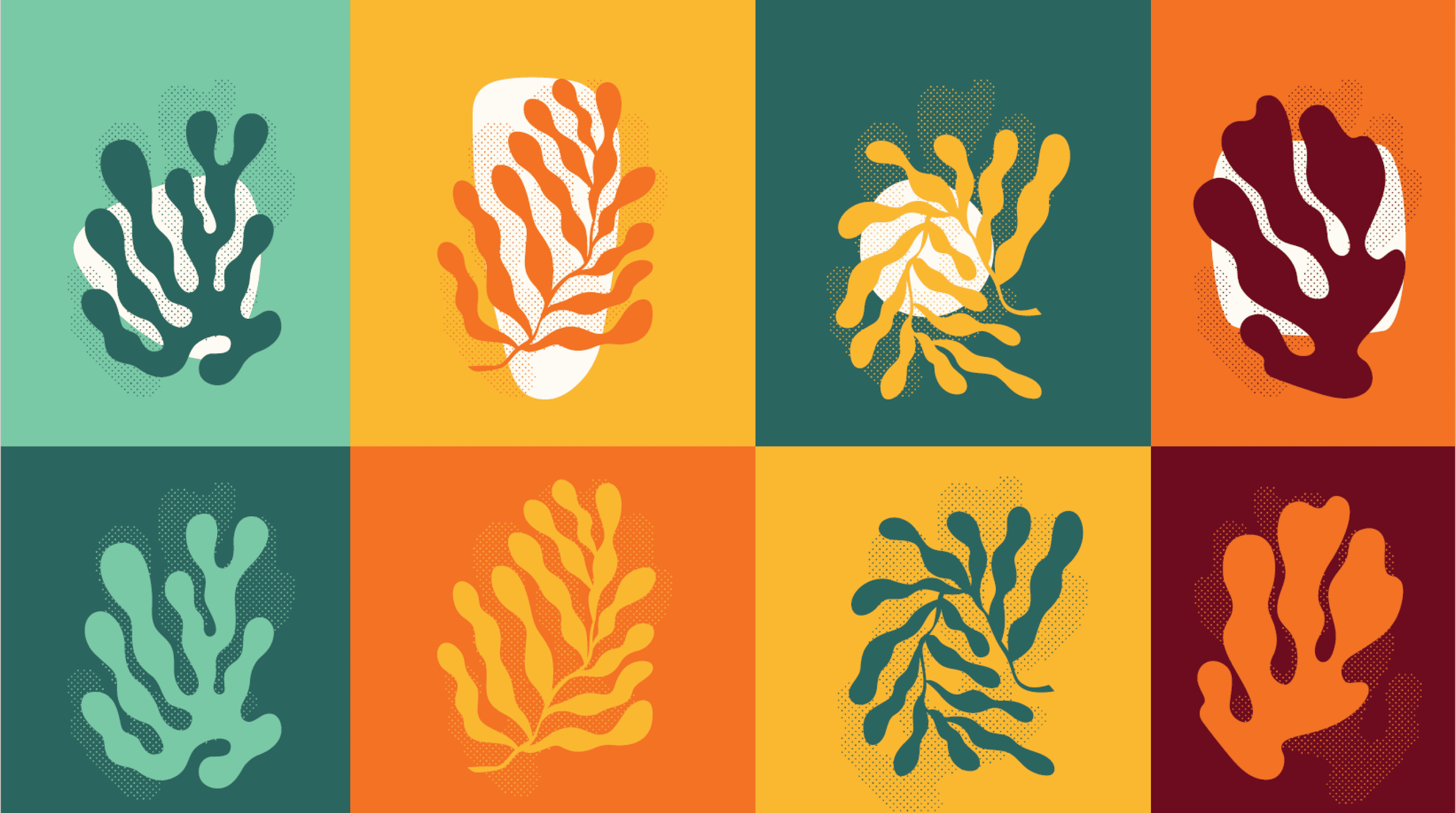 Brand identity design for Daybreak Seaweed Co. by Mindsy Design