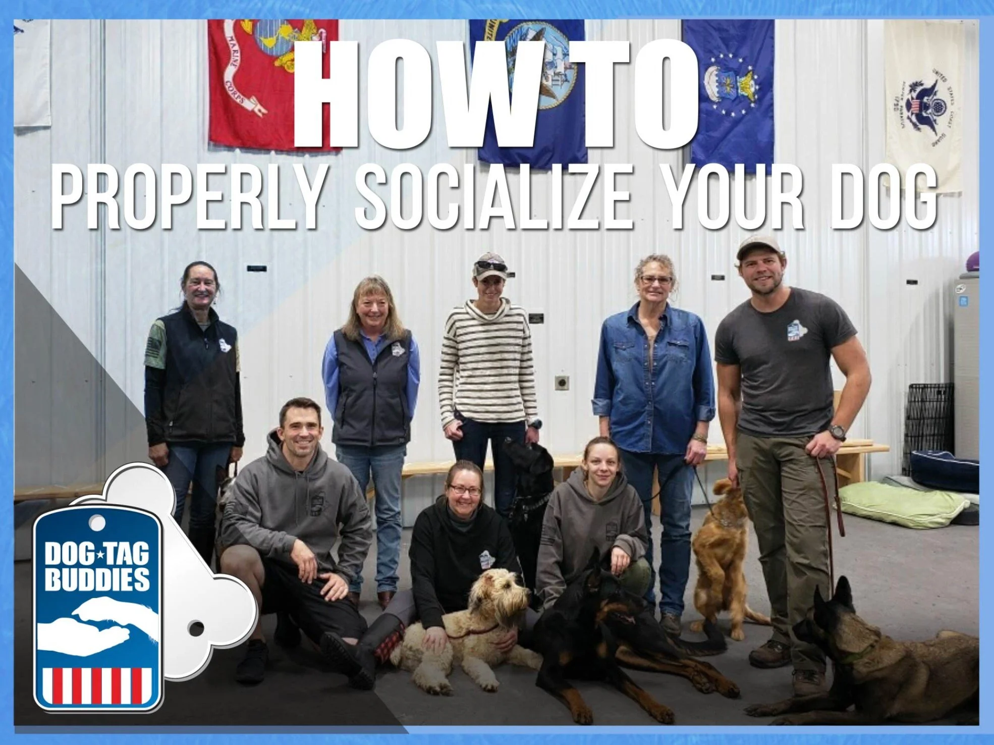 How to Properly Socialize Your Dog