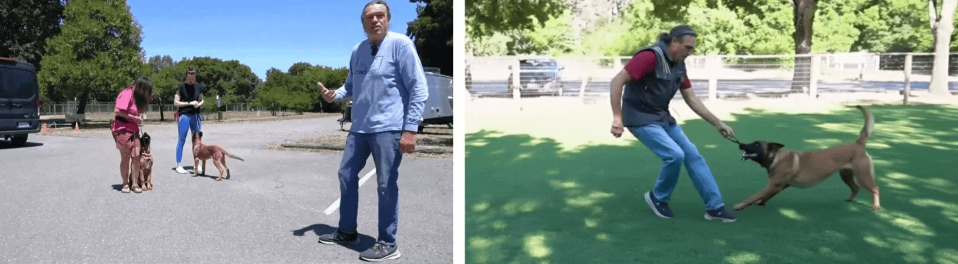 Michael Ellis explains the principles of socialization and demonstrates advanced play and engagement exercises with his Belgian Malinois, Snug.