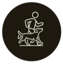Icon representing advanced dog training, behavior modification, and real-world reliability.