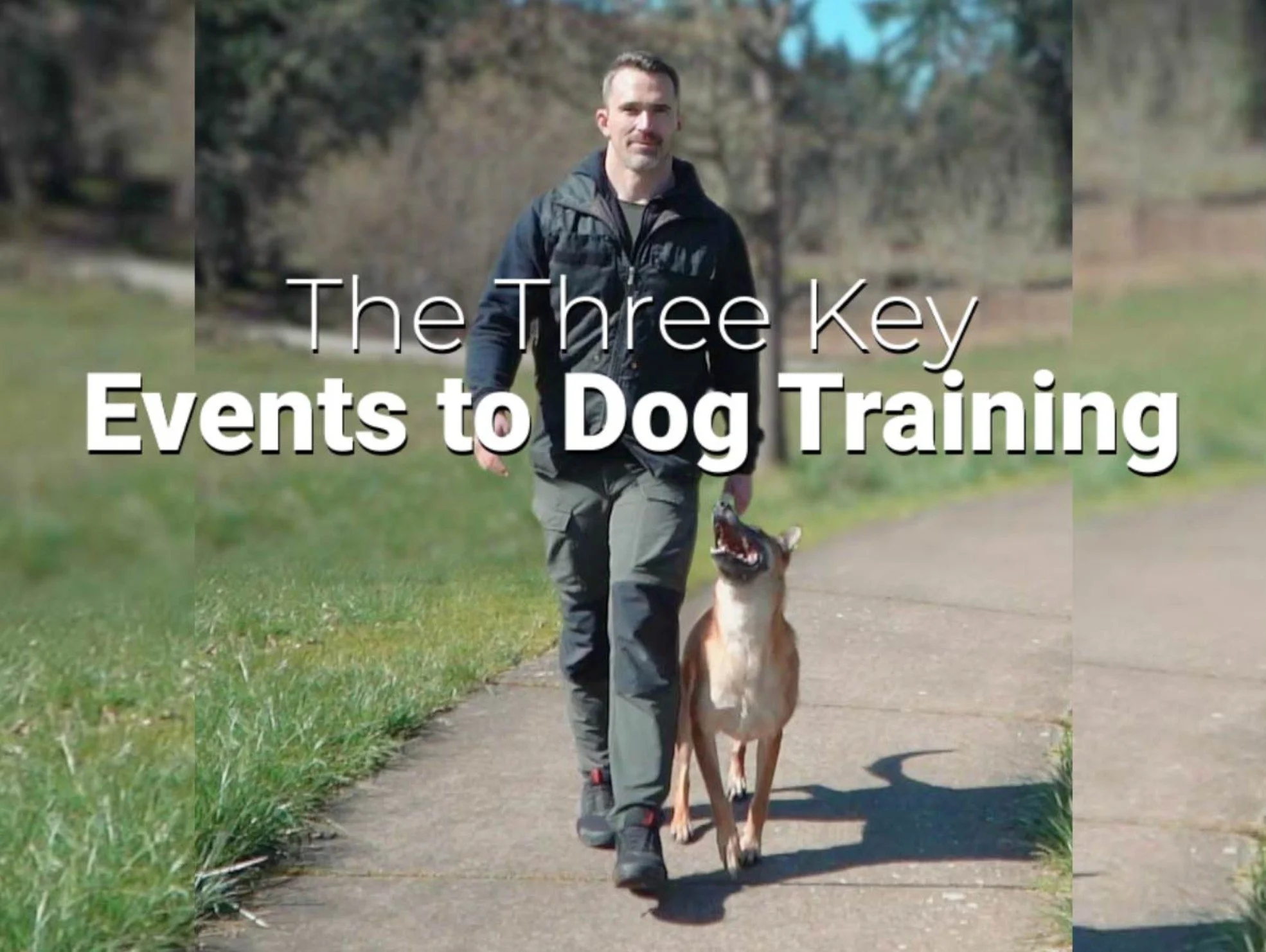 The Three Key Events Every Dog Owner Should Understand