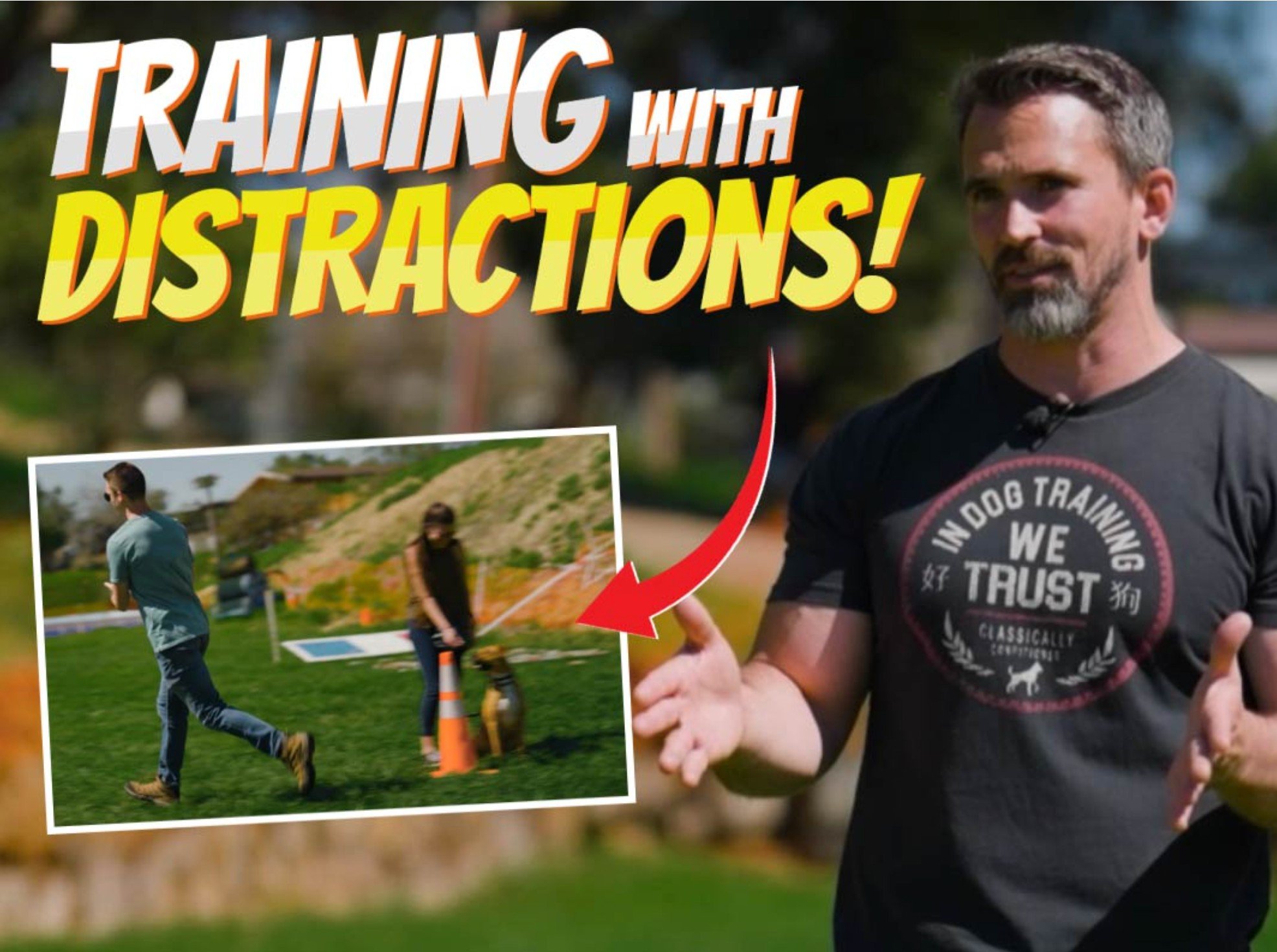 Introduction: The Intricacies of Dog Training