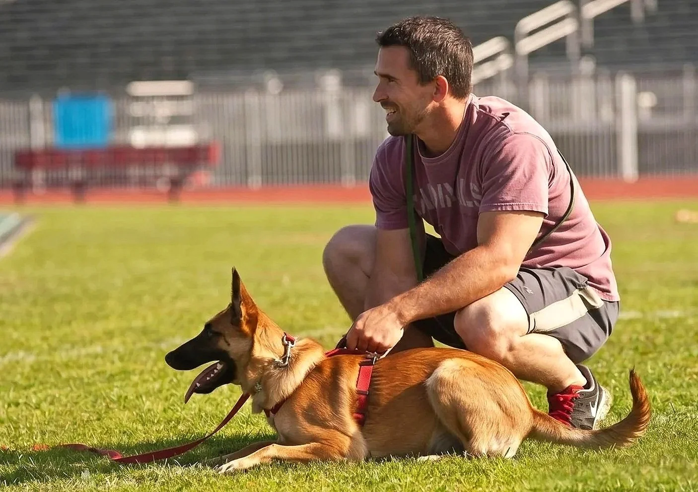 Professional dog trainer Nate Schoemer working with a Belgian Malinois during a training session.