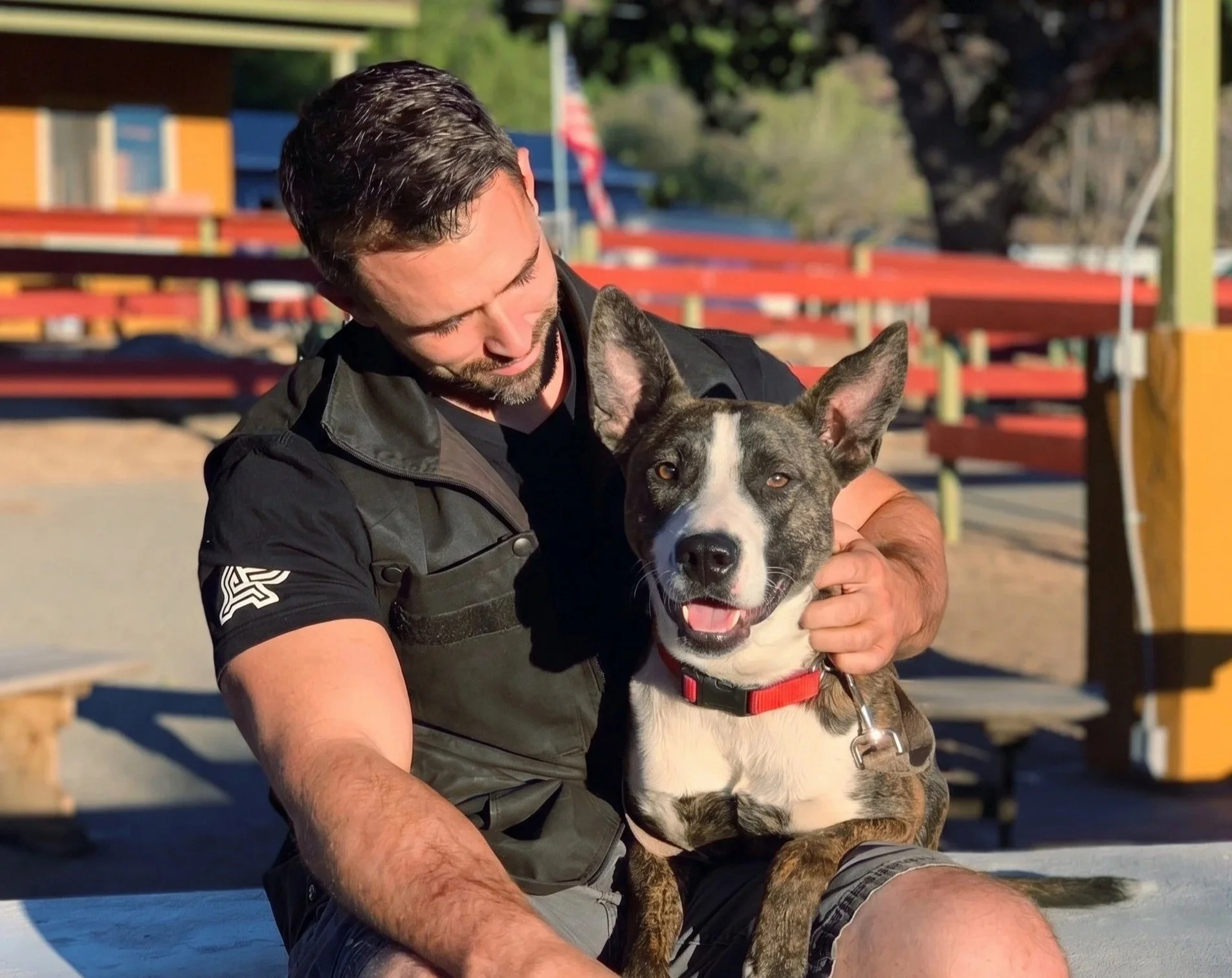 Nate Schoemer building engagement and communication with a dog during a training session.